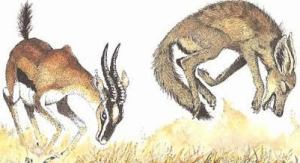 gullible deer and VK-reciting subversionist